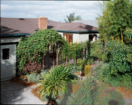 When Kelly, Deb, and Jennifer bought this 1940s bungalow, it suffered from substantial deferred maintenance and was “the worst house on a great street”—in other words, pure potential. From the street, the home barely resembles the original bare white bungalow with spare landscaping. The lush drought-tolerant yard now draws compliments from passing neighbors, and the home-grown bamboo fence provides privacy and creates a sunny, wind-protected entry courtyard.